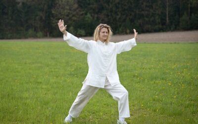 Kranich QiGong Wochenendseminar